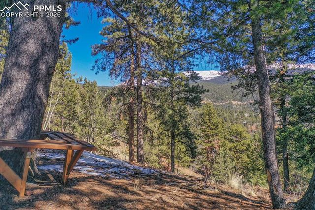 493 Horseshoe Drive, Divide, CO 80814