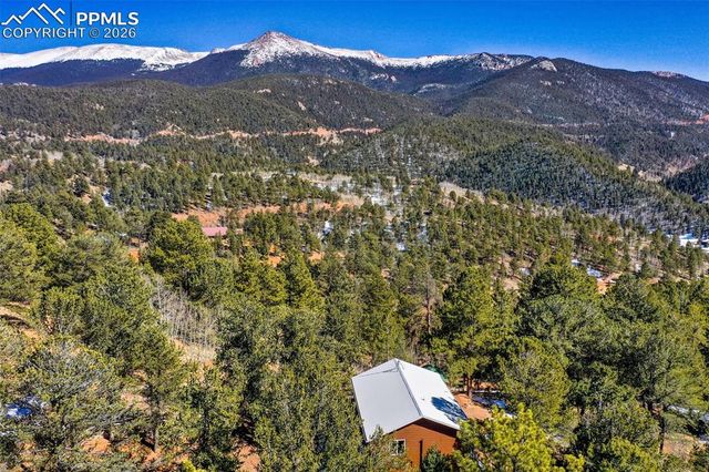 493 Horseshoe Drive, Divide, CO 80814