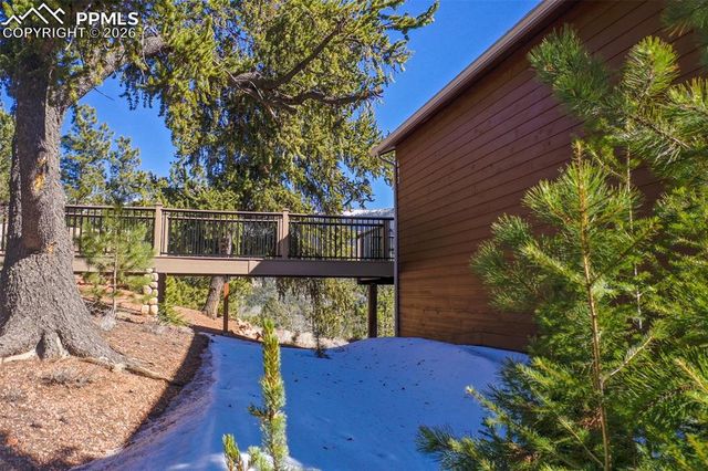 493 Horseshoe Drive, Divide, CO 80814