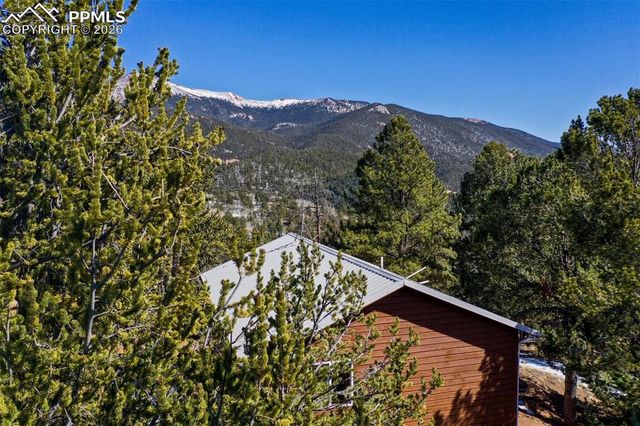 493 Horseshoe Drive, Divide, CO 80814