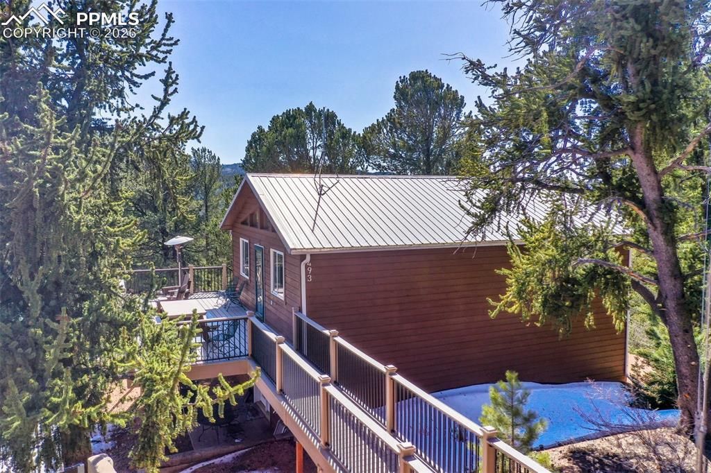 493 Horseshoe Drive, Divide, CO 80814