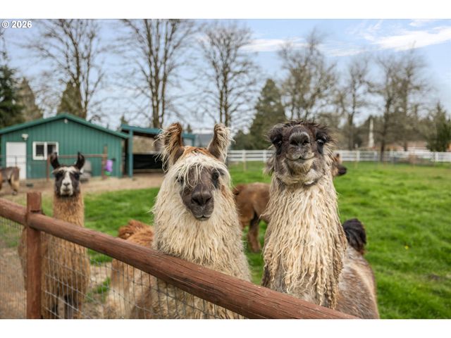 17525 S HOLLY Ln, Oregon City, OR 97045