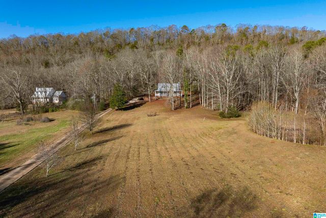 1775 RED VALLEY ROAD, Remlap, AL 35133