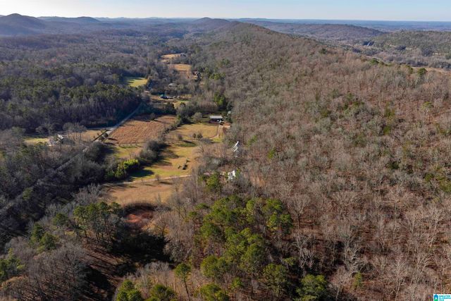 1775 RED VALLEY ROAD, Remlap, AL 35133