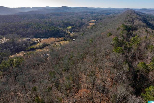 1775 RED VALLEY ROAD, Remlap, AL 35133