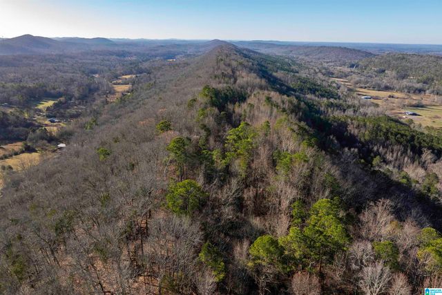 1775 RED VALLEY ROAD, Remlap, AL 35133