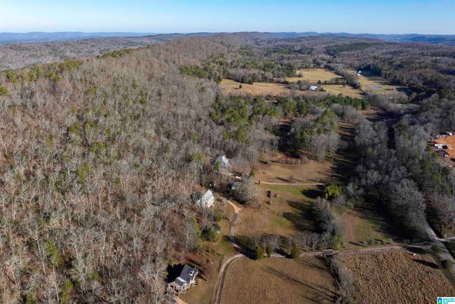 1775 RED VALLEY ROAD, Remlap, AL 35133