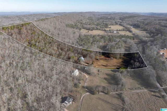 1775 RED VALLEY ROAD, Remlap, AL 35133