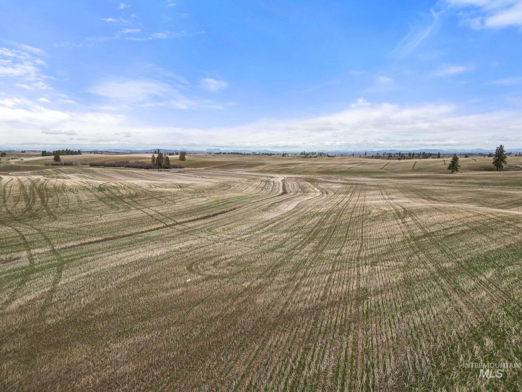 2326 Reubens Road, Reubens, ID 83548 photo 19