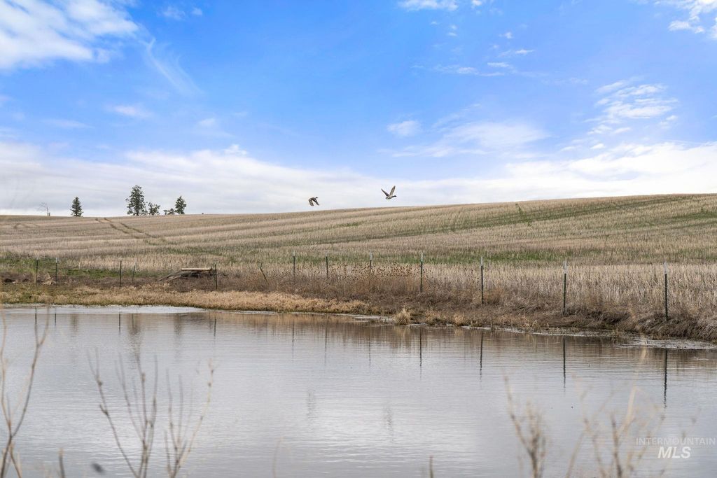 2326 Reubens Road, Reubens, ID 83548 photo 2