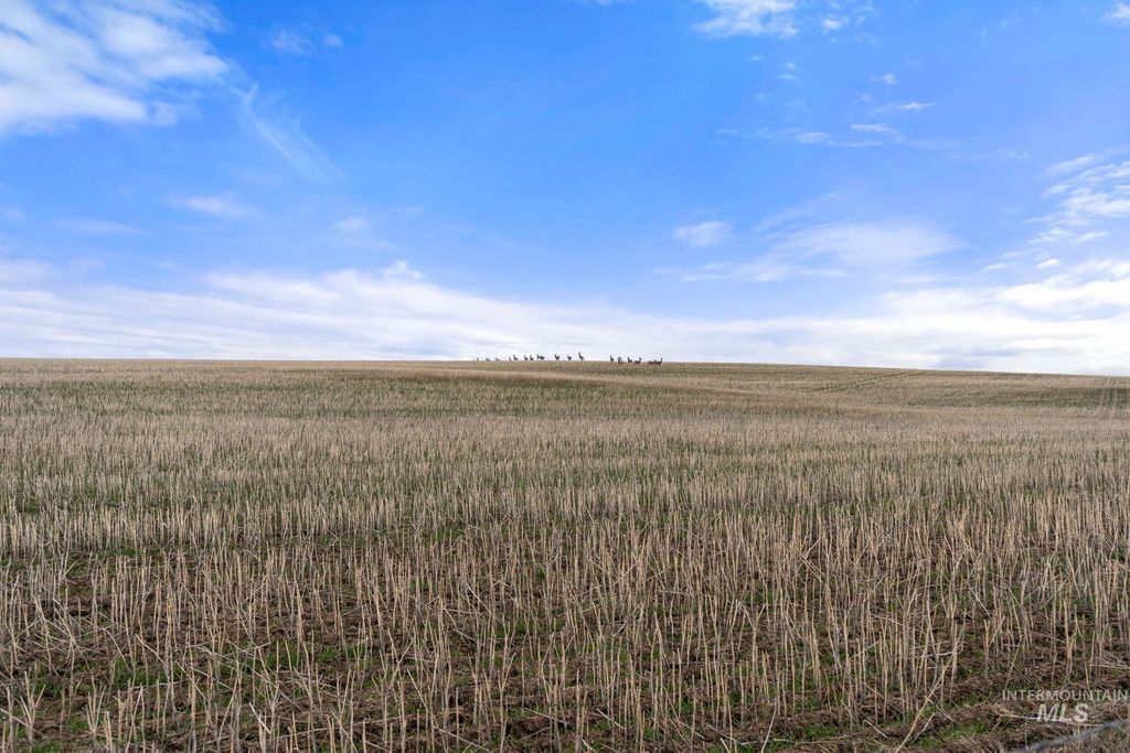 2326 Reubens Road, Reubens, ID 83548 photo 20