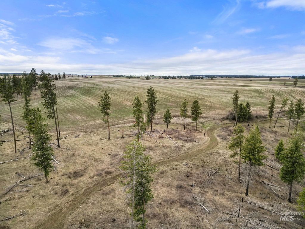 2326 Reubens Road, Reubens, ID 83548 photo 21