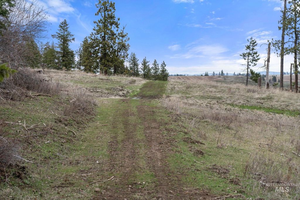 2326 Reubens Road, Reubens, ID 83548 photo 28