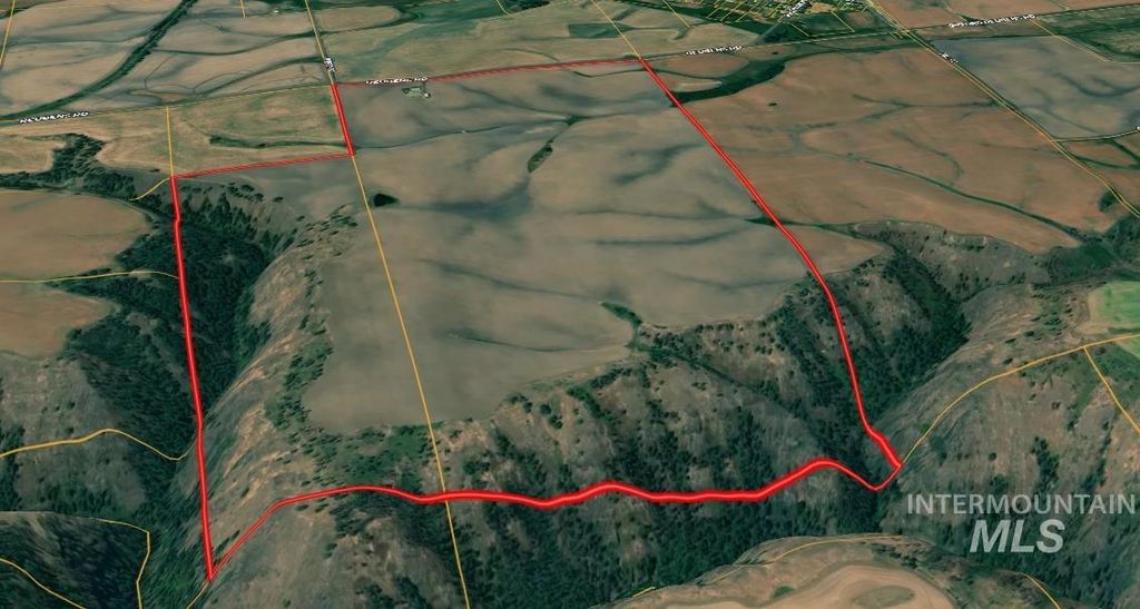 2326 Reubens Road, Reubens, ID 83548 photo 3