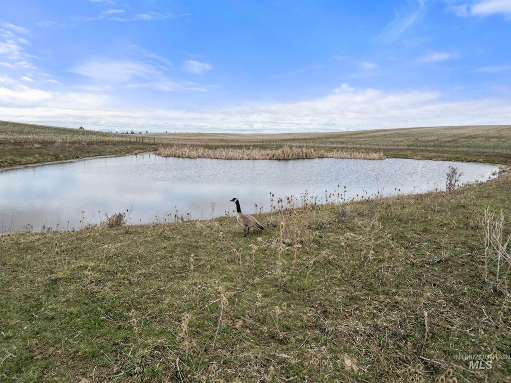 2326 Reubens Road, Reubens, ID 83548 photo 32