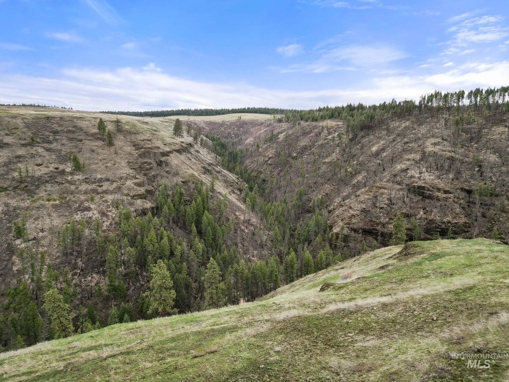 2326 Reubens Road, Reubens, ID 83548 photo 34