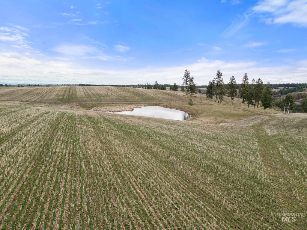 2326 Reubens Road, Reubens, ID 83548 photo 5