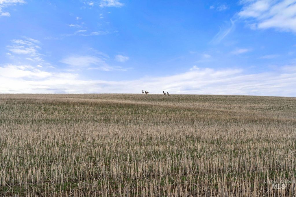 2326 Reubens Road, Reubens, ID 83548 photo 9