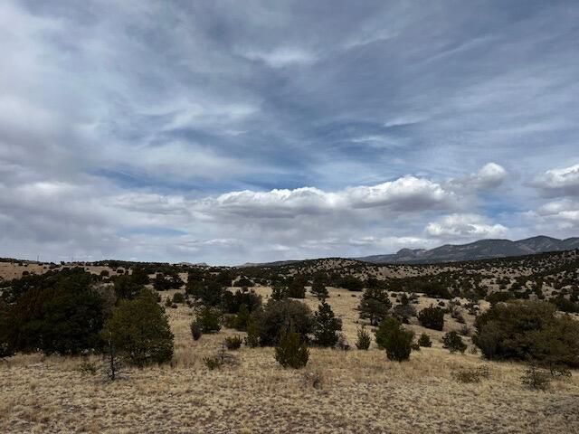 Lot 5 Magdalena Mountain Ranch, Magdalena, NM 87825
