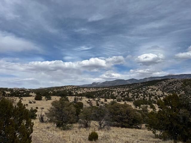 Lot 5 Magdalena Mountain Ranch, Magdalena, NM 87825