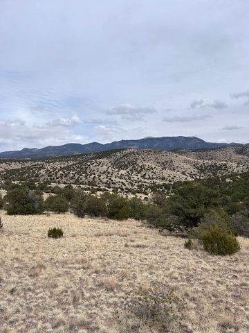 Lot 5 Magdalena Mountain Ranch, Magdalena, NM 87825