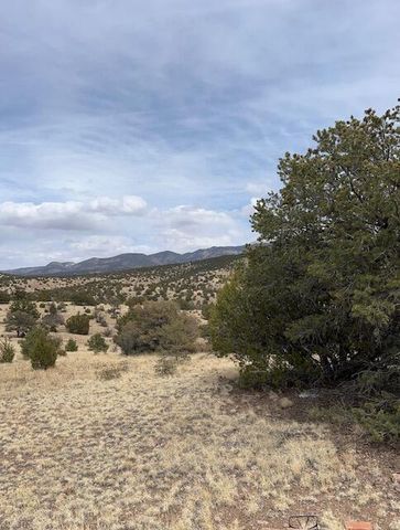 Lot 5 Magdalena Mountain Ranch, Magdalena, NM 87825