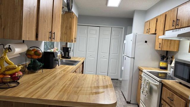 290 HILLSIDE DRIVE, Clermont, FL 34711