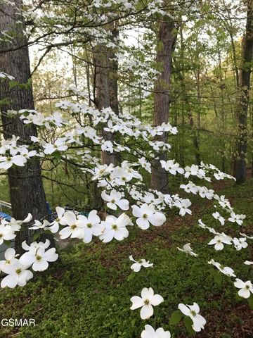 804 S Shiloh Road, Seymour, TN 37865