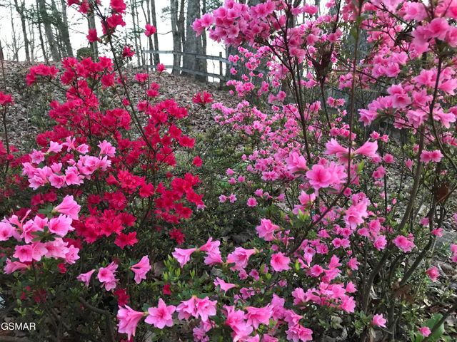 804 S Shiloh Road, Seymour, TN 37865