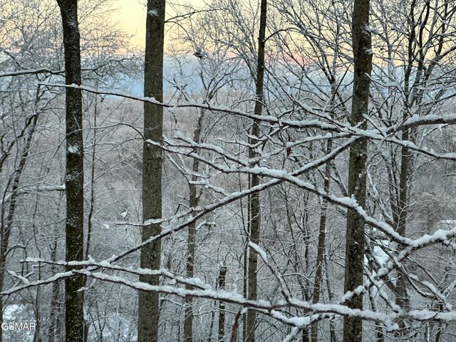 804 S Shiloh Road, Seymour, TN 37865