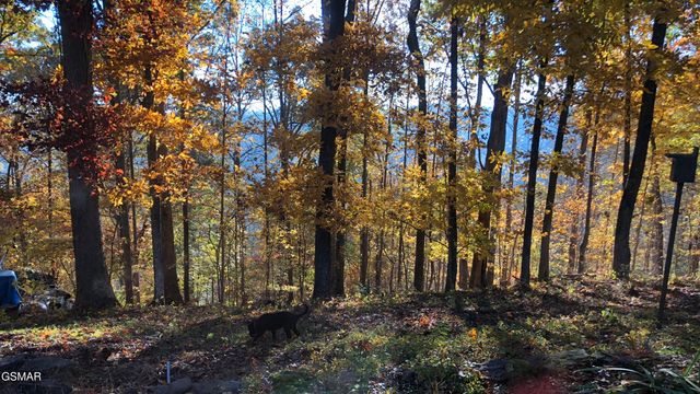 804 S Shiloh Road, Seymour, TN 37865