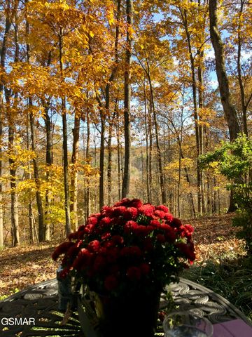 804 S Shiloh Road, Seymour, TN 37865