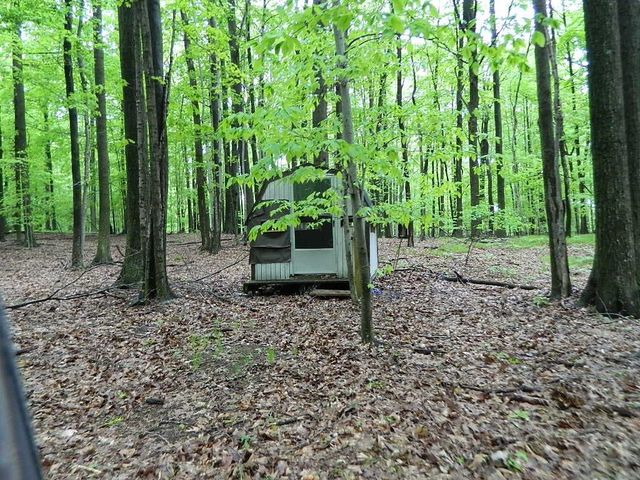 5375 W Deerfield Road, Deerfield Twp, MI 49340