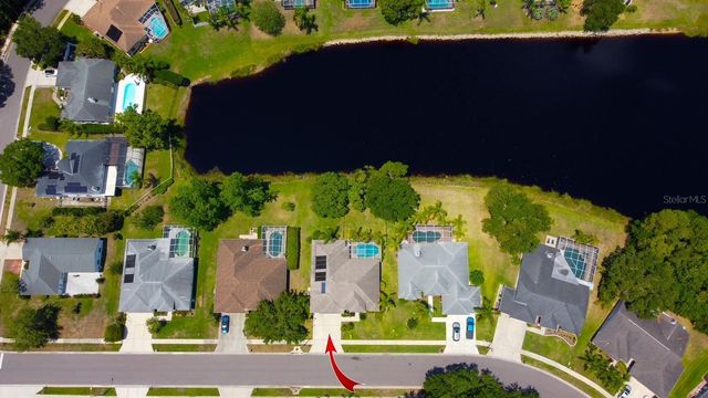 2456 APPALOOSA TRAIL, Palm Harbor, FL 34685