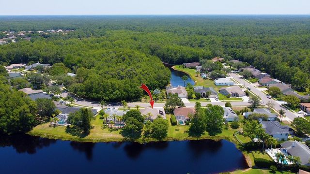 2456 APPALOOSA TRAIL, Palm Harbor, FL 34685