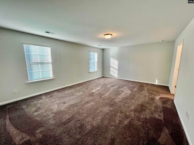 1351 Tamarind Lane, Chapin, SC 29036