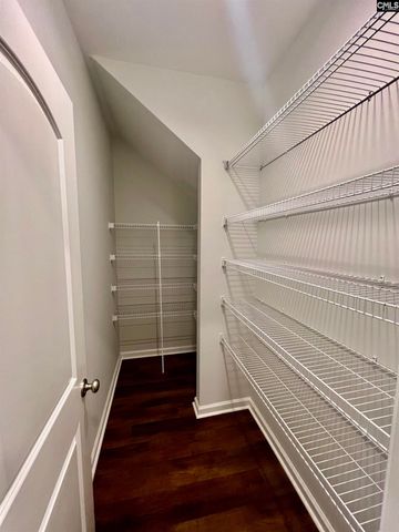 1351 Tamarind Lane, Chapin, SC 29036