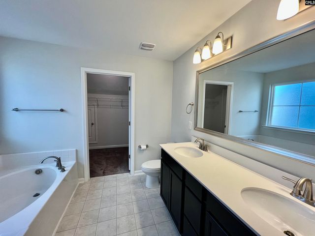 1351 Tamarind Lane, Chapin, SC 29036