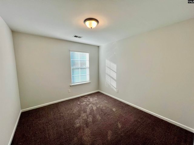 1351 Tamarind Lane, Chapin, SC 29036