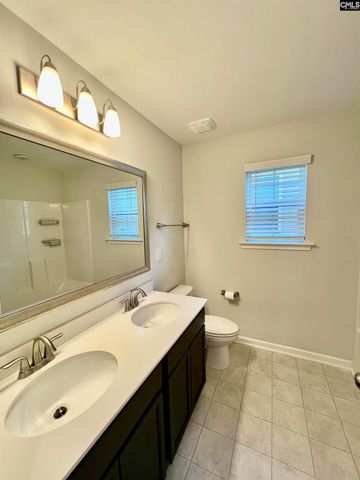 1351 Tamarind Lane, Chapin, SC 29036