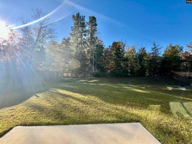 1351 Tamarind Lane, Chapin, SC 29036