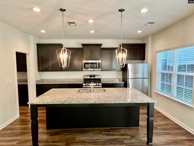 1351 Tamarind Lane, Chapin, SC 29036