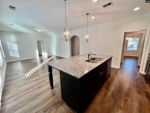 1351 Tamarind Lane, Chapin, SC 29036