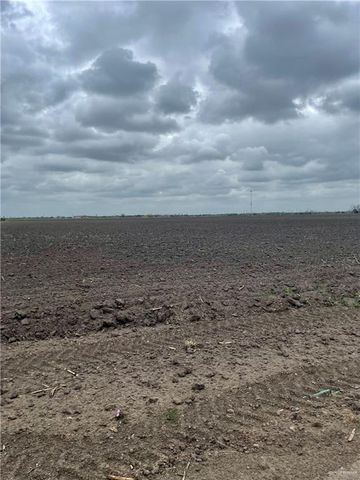 TBD E Mile 16 N Road, Elsa, TX 78543