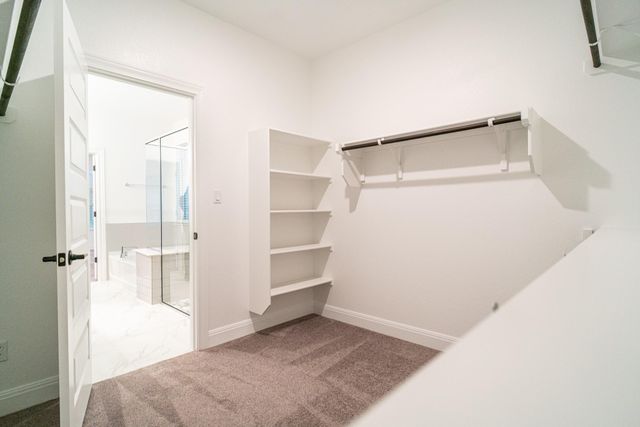 3501 Jaulan ST, Leander, TX 78641