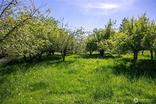 2515 Brown Rd, Ferndale, WA 98248