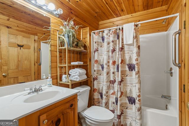 142 Oak Hill Drive, Mineral Bluff, GA 30559