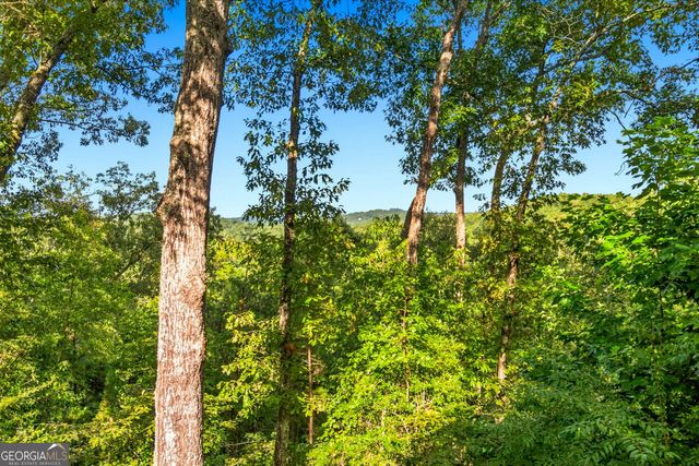 142 Oak Hill Drive, Mineral Bluff, GA 30559