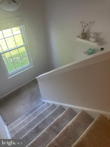 24 CRAIG CT, Newtown, PA 18940