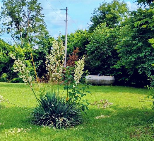 281 County Road 9953, Green Forest, AR 72638